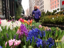 New York Flower District